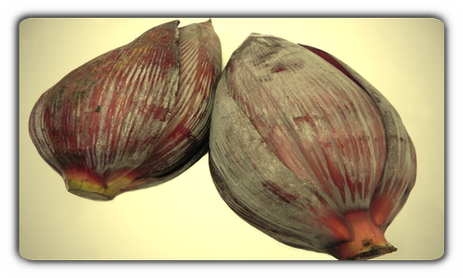 Ceylon Kochbanane